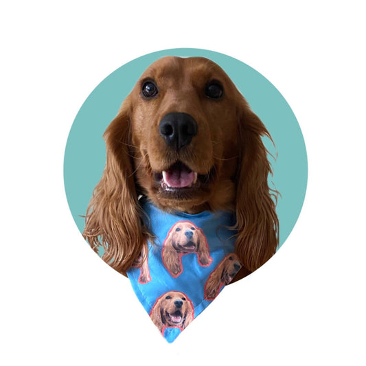 Your Pet’s Face on Bandana