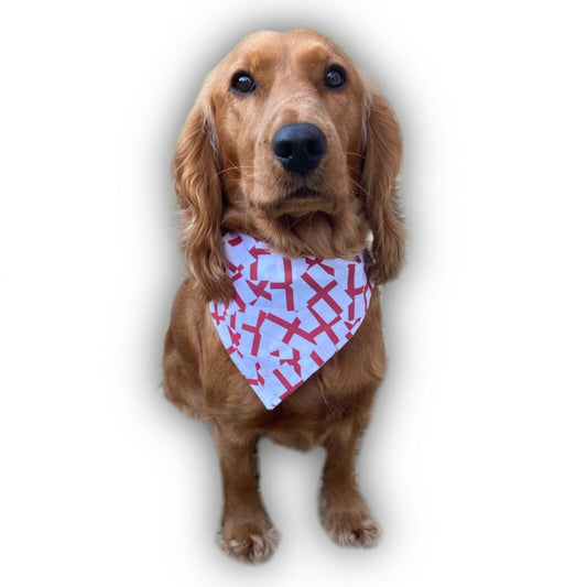 England  Flag Bandana