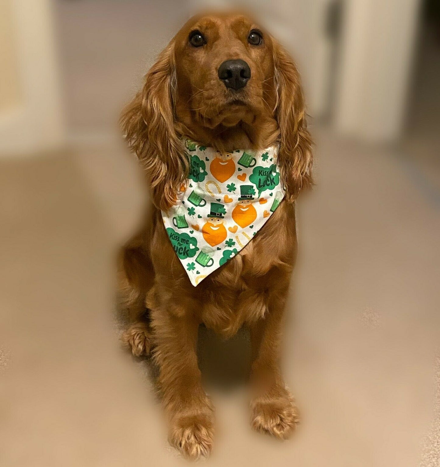 St. Patricks Day Dog Bandana