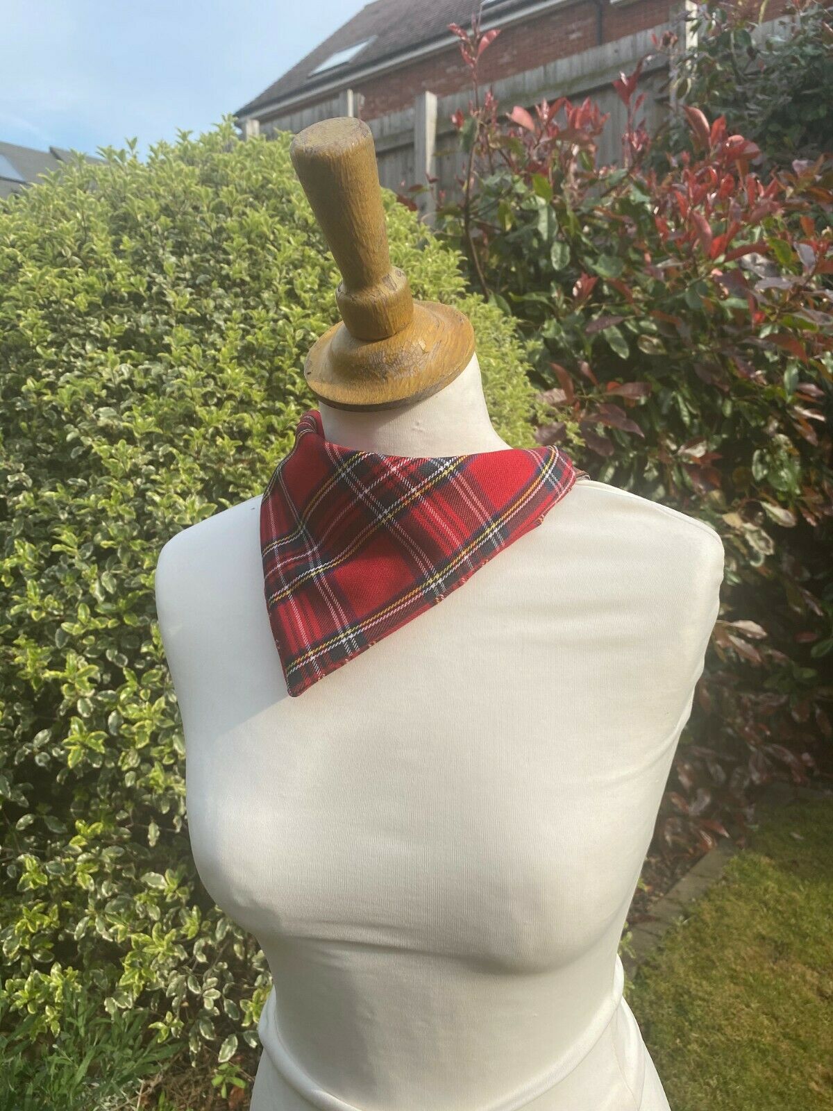 Tartan Bandana