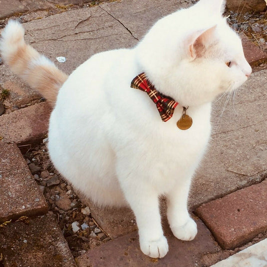 Tartan Bow Tie with Gold Metalic Stripes