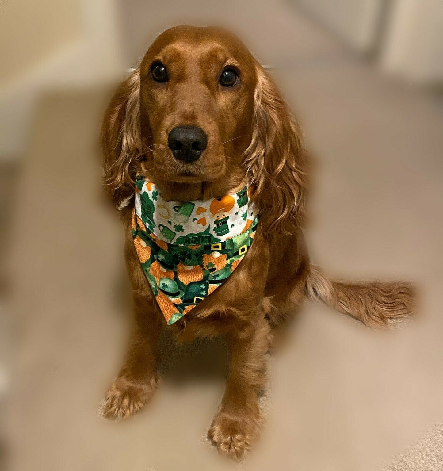 St. Patricks Day Dog Bandana