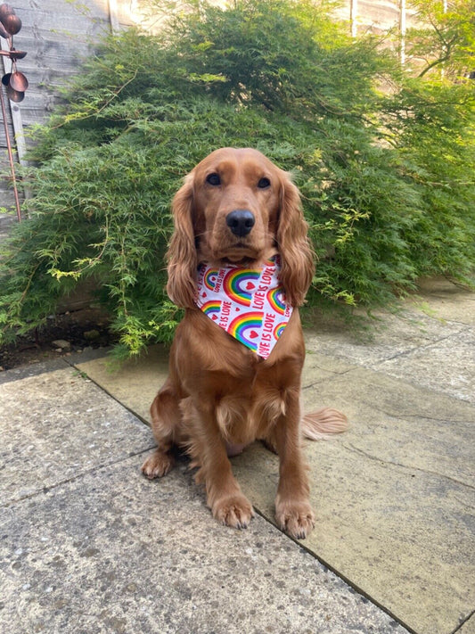 Love is Love Pride Rainbow Bandana