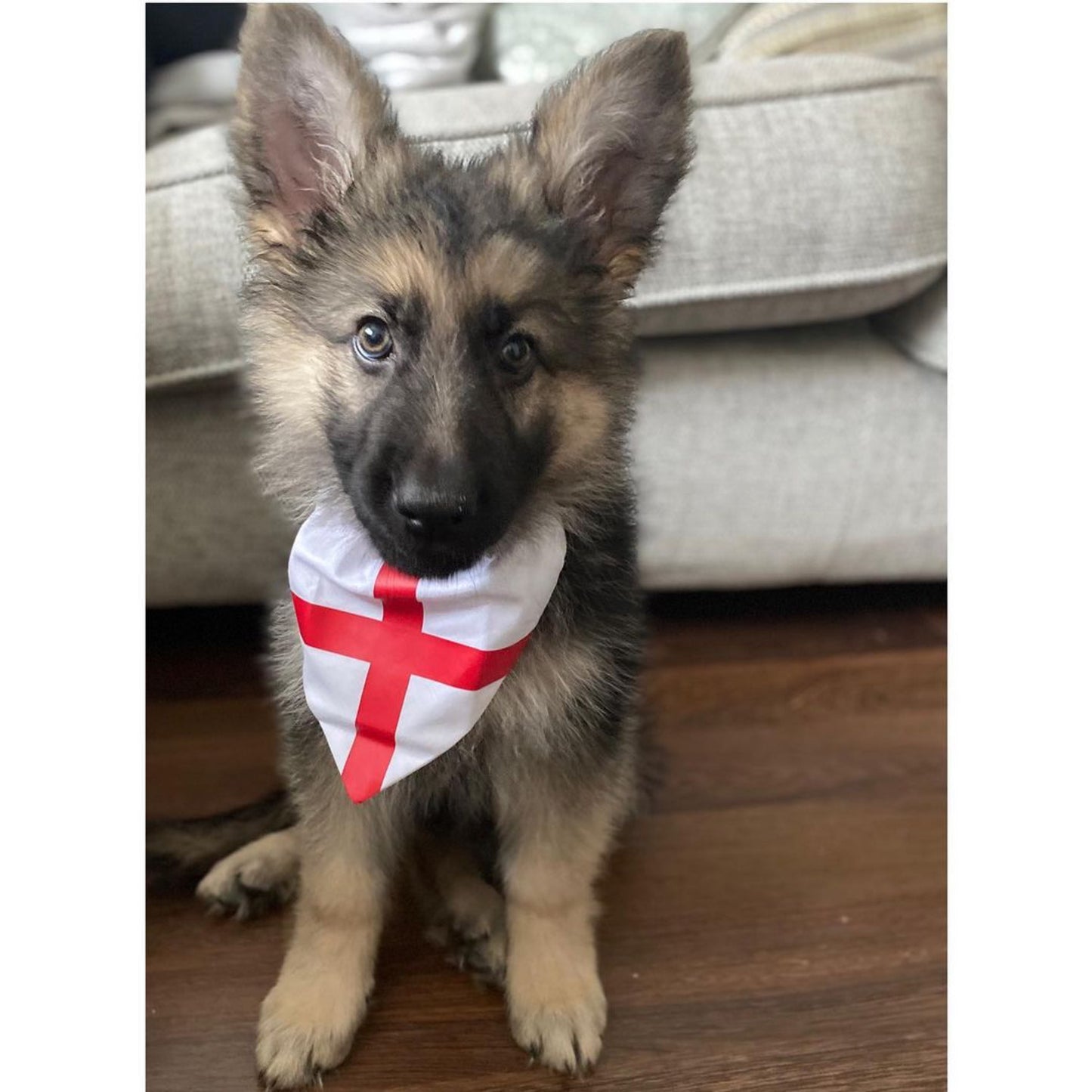 England Flag Bandana