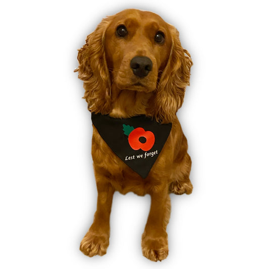 Lest We Forget Poppy Bandana