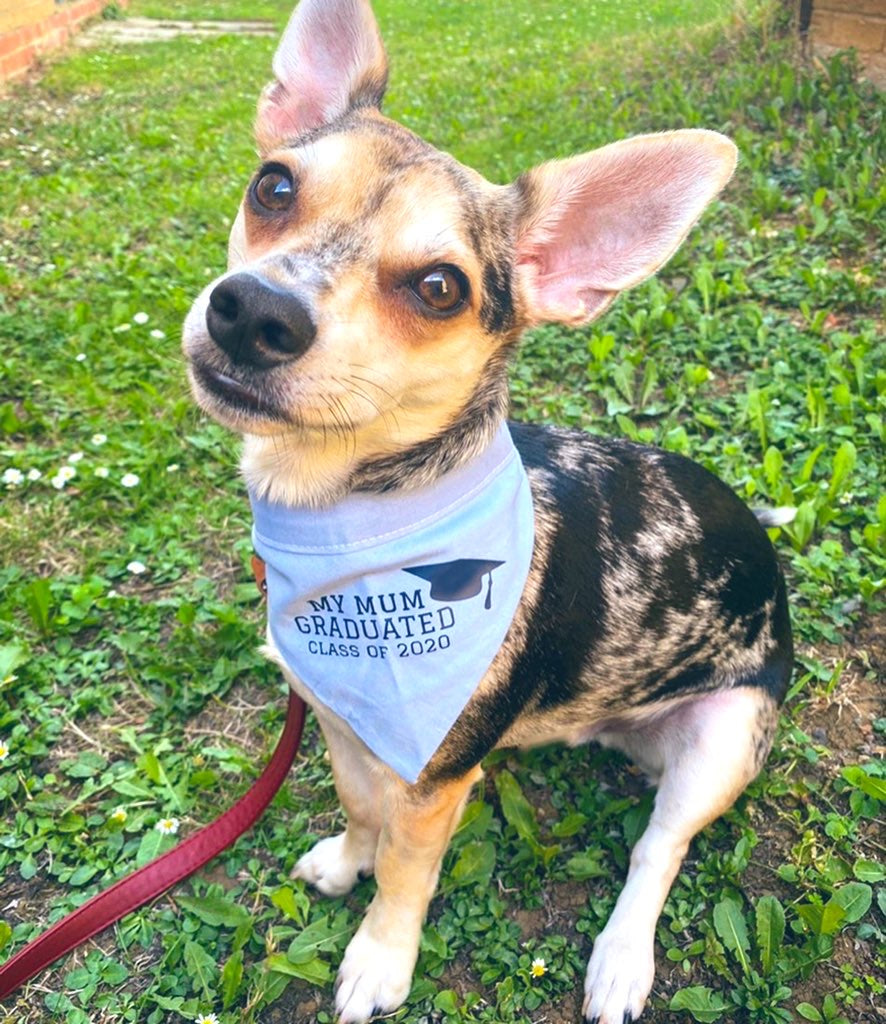 Graduation Bandana