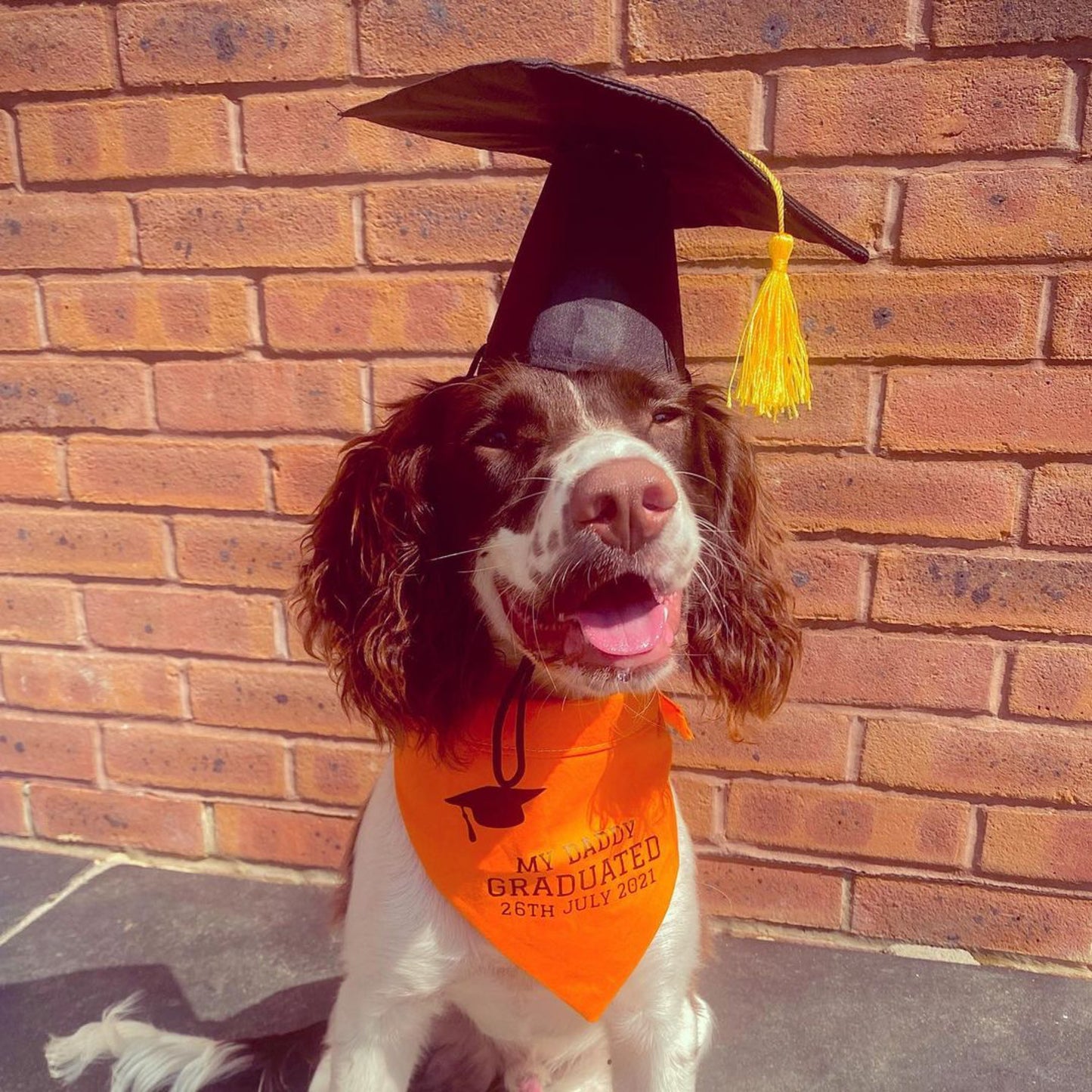 Graduation Bandana