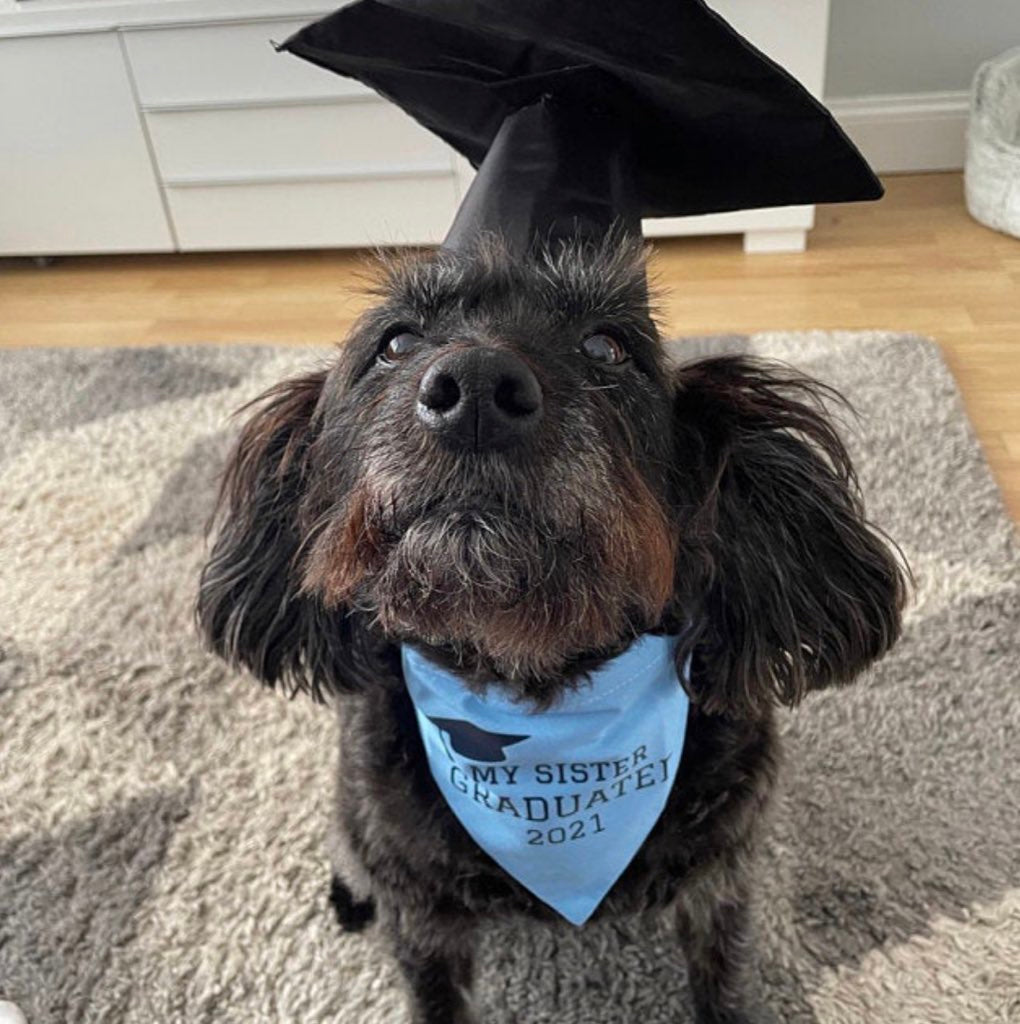 Graduation Bandana