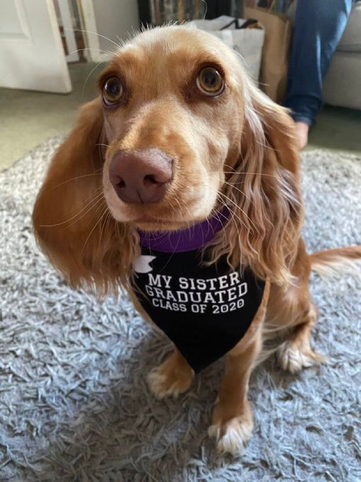 Graduation Bandana